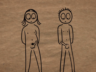 Illustration af penis 