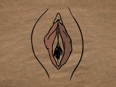 Illustration af vulva