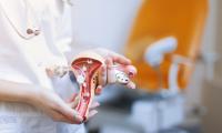 Læge står med figur af livmoder i hånden